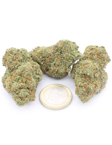 pineapple express pineapple express