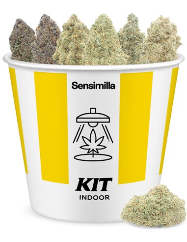 indoor adventure kit indoor adventure kit