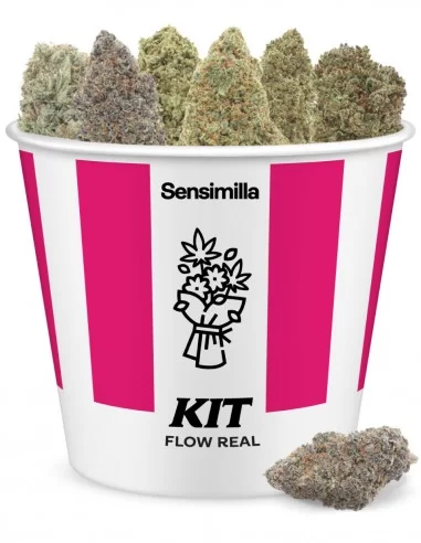Flow Real Kit 20g Flow Real Kit 20g