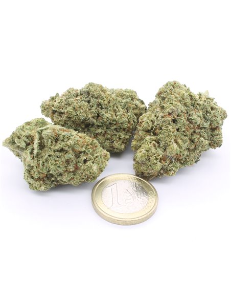 gorilla glue gorilla glue