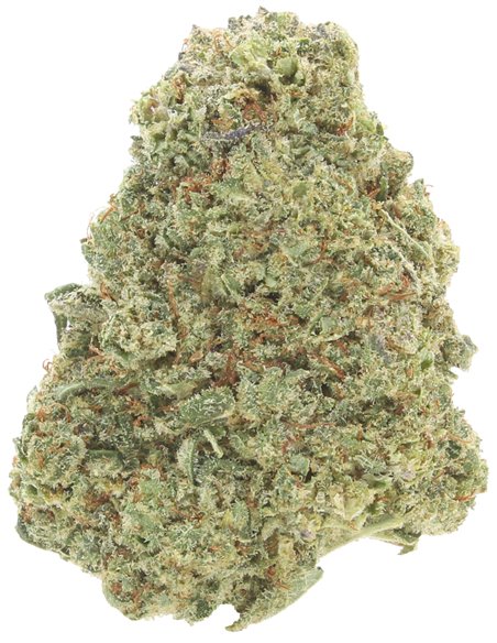 gorilla glue gorilla glue