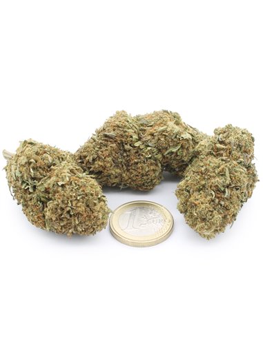 blue dream blue dream