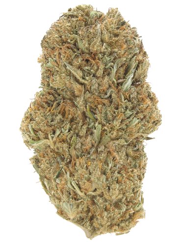 blue dream blue dream